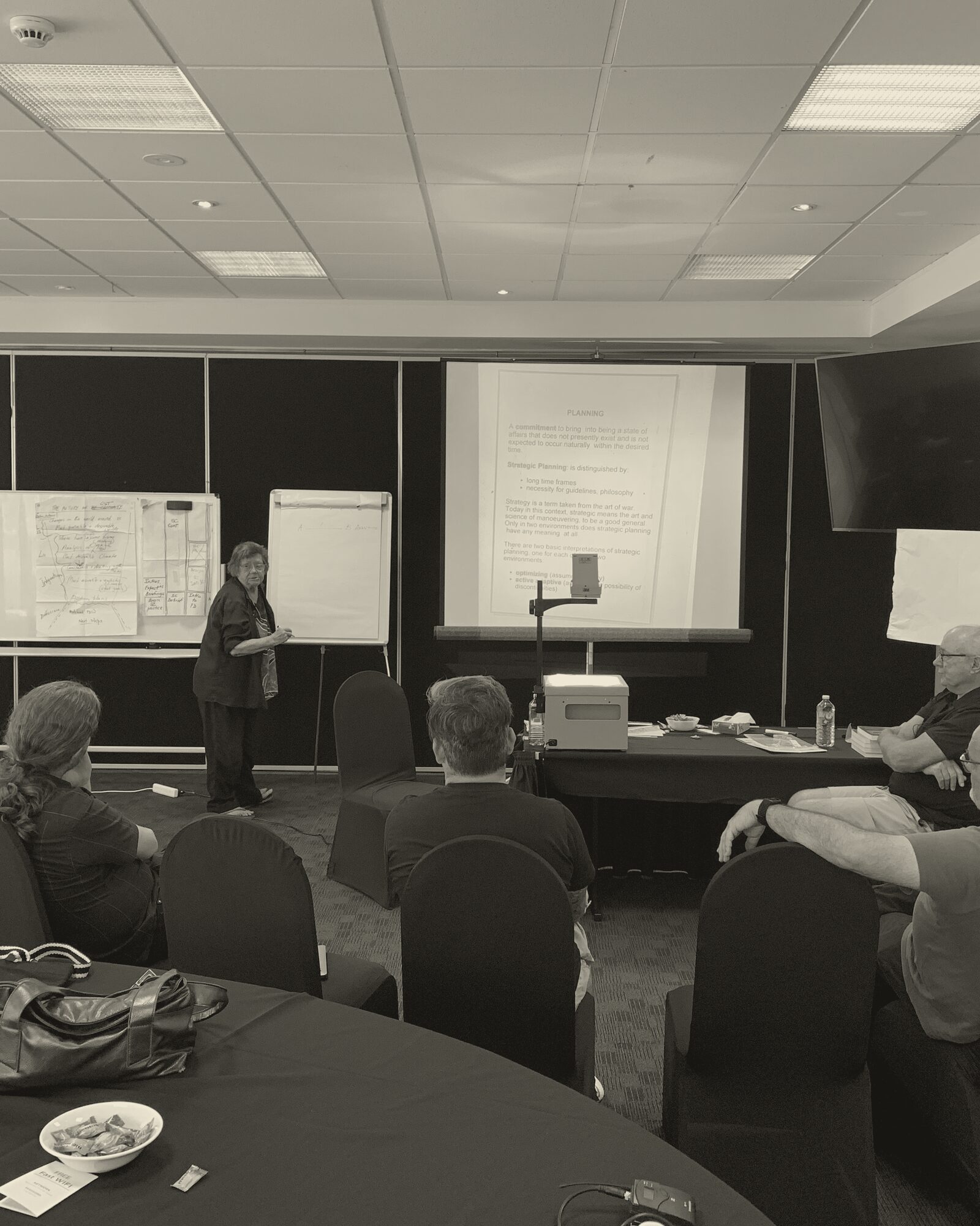 Merrelyn Emery facilitating a Search Conference, with participants seated in a U-shape, flipchart and projected slide visible behind.